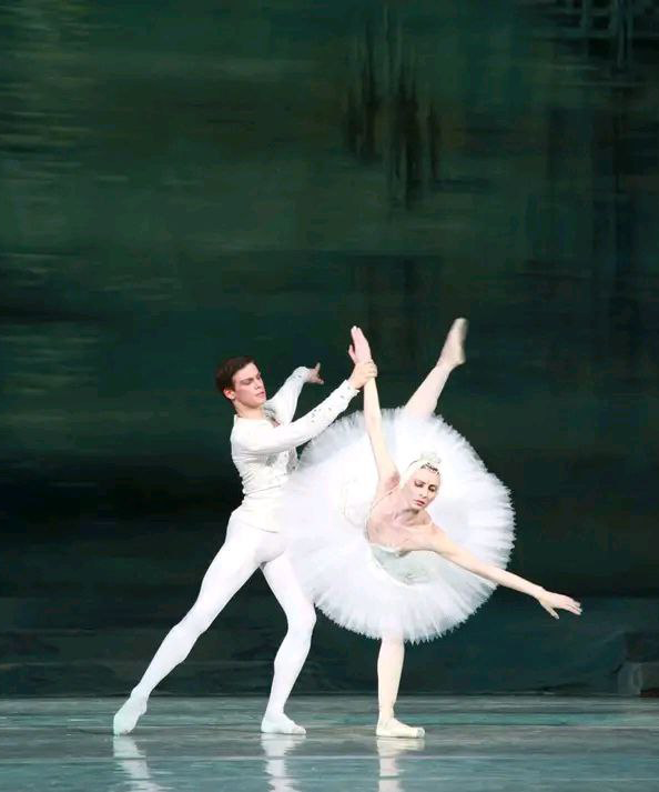 photo_39_2025-09-05_20-26-24